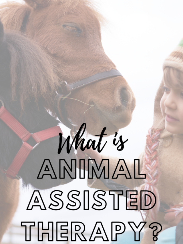 What is Animal Assisted Psychotherapy or Pet Therapy?