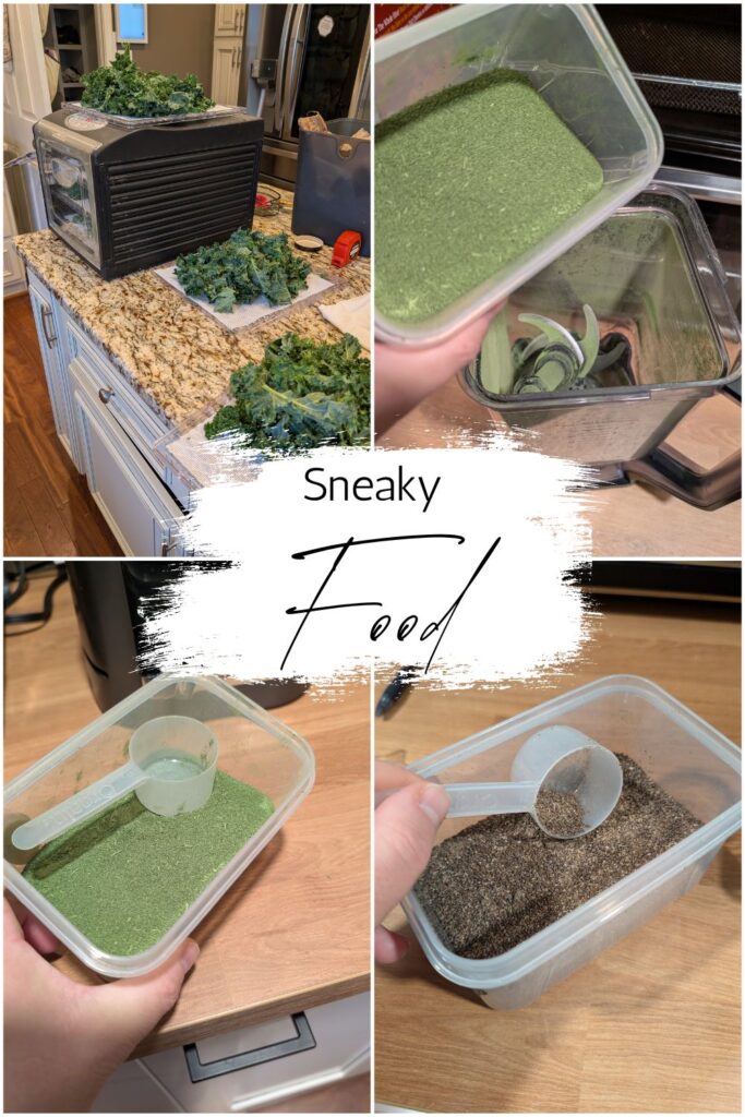 "Sneaky Food" Top left: kale spread out next to a dehydrator
Top right: blender with dried kale pulverized in it
Bottom left photo: kale powder in a small bin with a measuring tool
Bottom right photo is chia seeds pulverized into a powder in a small bin.